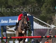 De Simone Teddy TosTour 2013- S5 7696 : Arezzo Equestrian Centre, De Simone Rossella, Teddy, Toscana Tour 2013, foto di Stefano Secchi ©